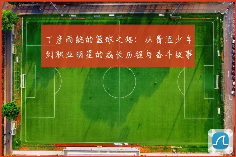 丁彦雨航的篮球之路：从青涩少年到职业明星的成长历程与奋斗故事